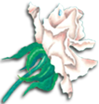 Dekorace, obrazy - sezónní, firemnní, originální šperky